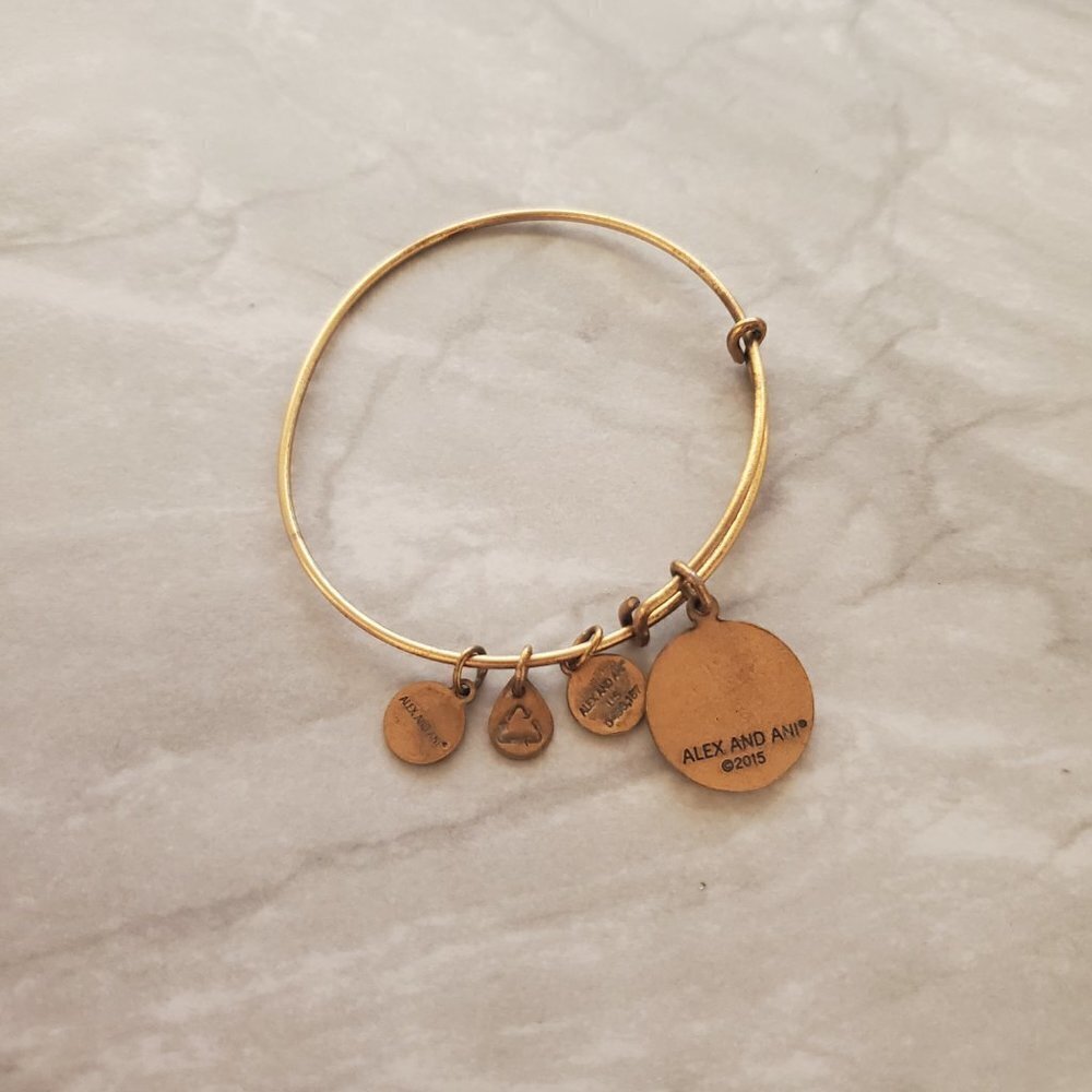 ✨ Alex And Ani Star Of Venus Gold Expandable Charm Bracelet ✨ - Picture 4 of 6